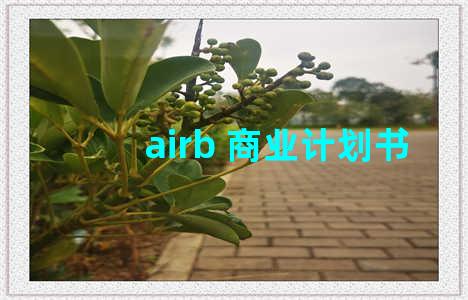 airb 商业计划书